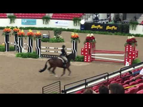 Blake & Alonso: WCE Finals Round 1