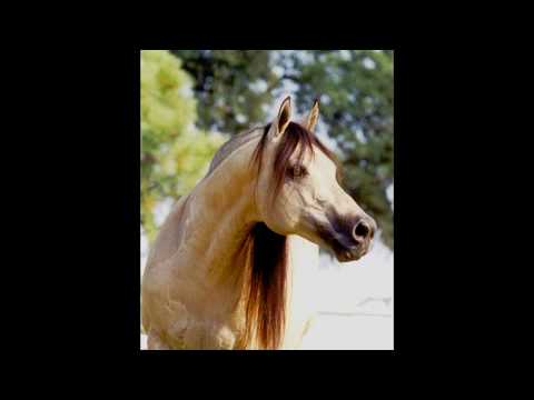 Tim McQuay - Most Memorable Ride