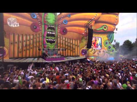 Tomorrowland 2013 - Martin Solveig