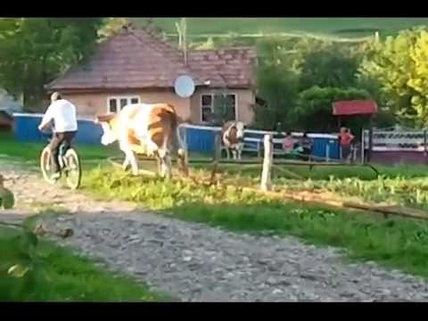 A trip to the countryside - Urmenis (Part 2)