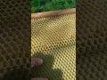 ВОЩИНА, с Алиэкспресс НЕ РЕКОМЕНДУЮ