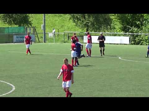 zusammenfassung hambach