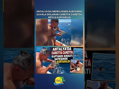 Antalya'da nefes kesen kurtarma: Çuvala dolanan caretta caretta böyle kurtarıldı
