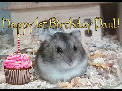 Happy Birthday Paul!