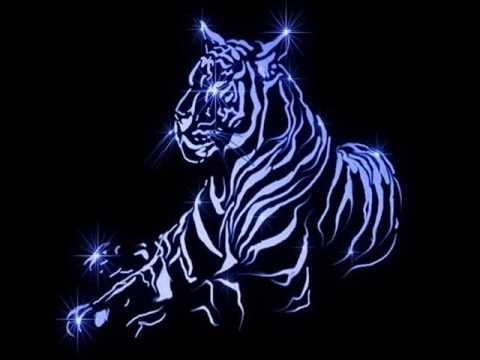 THE EYE OF THE TIGER (TECH REMIX 2)