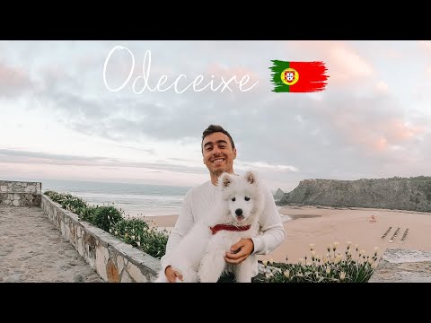 First trip with my beautiful puppy to ODECEIXE | Nomad artist and samoyed dog - Pedro Vargues