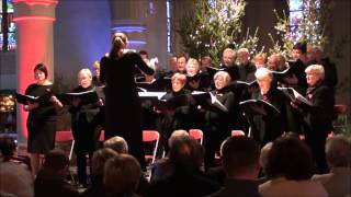 preview picture of video '28 DEC 2014 SCHORE KERSTCONCERT CAMERLINCKXKOOR LIED 08 DER CHRISTBAUM HD1080'