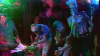 Washington Dead Cats - Beetroot Girl - TV Show