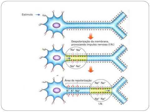 Aula 7   farmacologia SNC