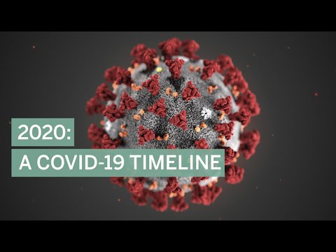 2020: A COVID-19 timeline in Ontario