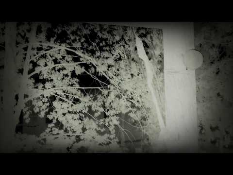 download lagu mp3 mp4 Stormy June, download lagu Stormy June gratis, unduh video klip Stormy June