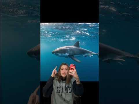Weird Animal Facts 🐶🐙🦈 w OnlyJayus - #Shorts