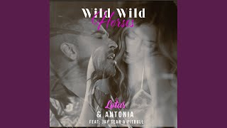 Wild Wild Horses (Bodybangers VIP Remix)