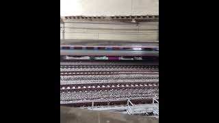 Amtrak #190 at Providence, RI 6/16/2023 #shorts