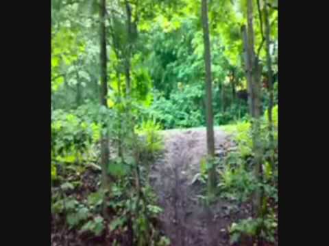 Диез Предател / Terävä Petturi