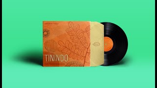 Tinindo (Álbum Completo) - Tributo aos Novos Baianos