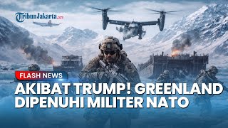 Donald Trump Picu Ketegangan Baru, NATO Tingkatkan Kehadiran Militer di Greenland