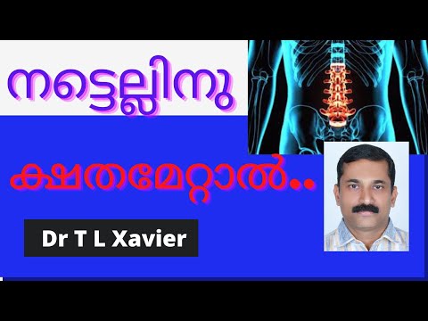 Healthy Eating for Spine Injury Recovery: What You Need to Know