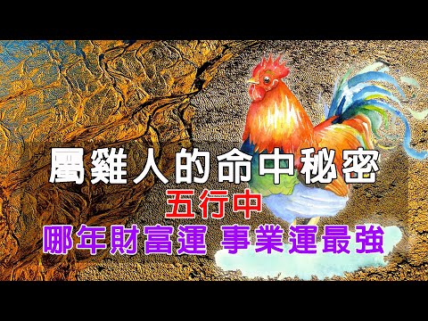 58年次屬雞五行