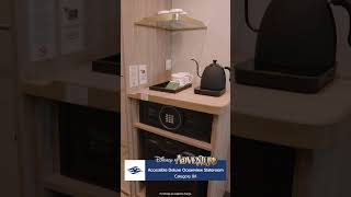 Disney Adventure – Accessible Deluxe Oceanview Stateroom | Disney Cruise Line