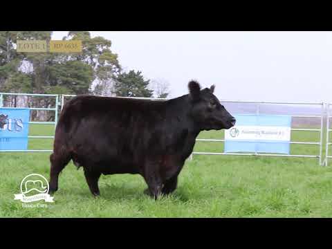 HUACA CURU - VAQUILLONAS PP - LOTE 1