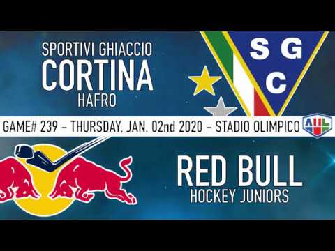 SG Cortina Hafro - Red Bull Hockey Juniors