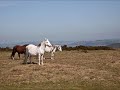 Mike Oldfield Hergest Ridge 1  Part