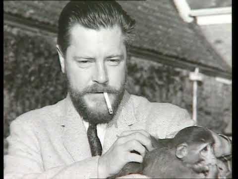 download lagu mp3 mp4 The Durrells, download lagu The Durrells gratis, unduh video klip The Durrells