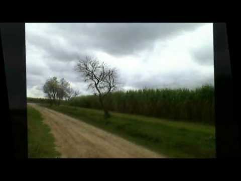 Caminando video