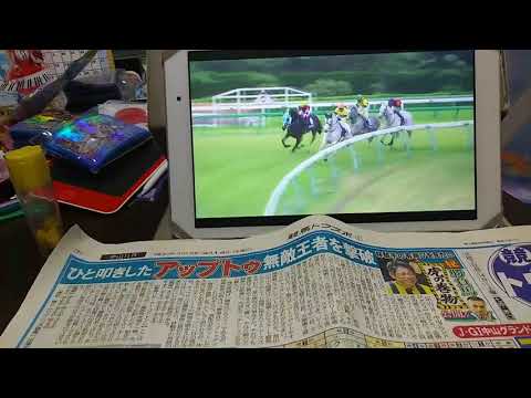 （競馬）第20回中山グランドジャンプ（ジャンプGⅠ）解説ダイジェスト