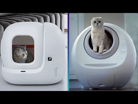 6 Best Automatic Self-Cleaning Litter Boxes 2022