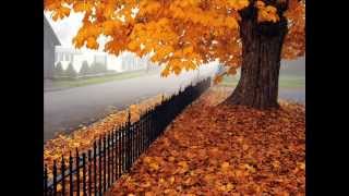 Mike Francis - The Way You Want Me (On And On)