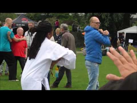Wereld Tai Chi dag Zwolle Wereld Tai Chi dag Zwolle
