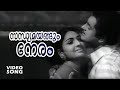 Sandhyamayangum Neram Evergreen Malayalam Movie Song Mayilaadumkunnu Ft Prem Nazir Jayabharathi