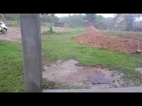 Chuva Boa Fazenda Ipueiras Santa Quitéria Ceará hoje 28/02/2026