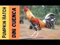Joey Salangsang Dini Cuenca Fiestag 2018