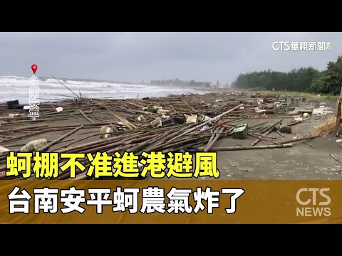 蚵棚不准進港避風　台南安平蚵農氣炸了