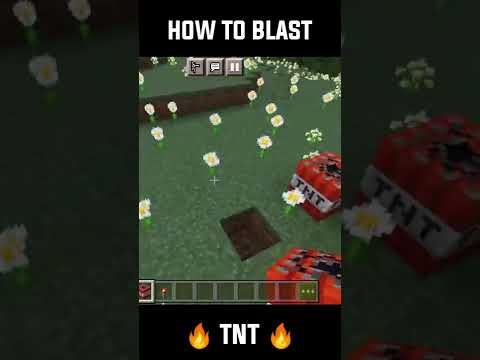Explosive Minecraft TNT Trick by Hitler!! 💣