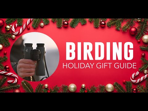 Top Picks for Birding | Sport Optics Holiday Gift Guide 2024