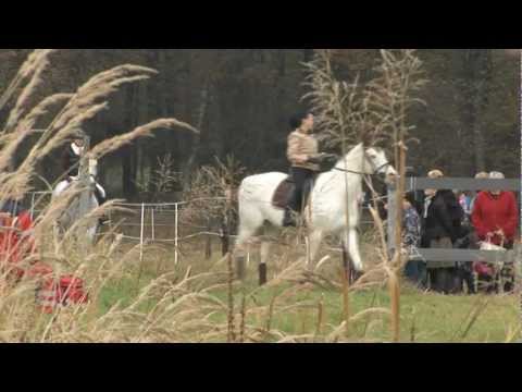 Hubertus 2011 w Stajni Aura.