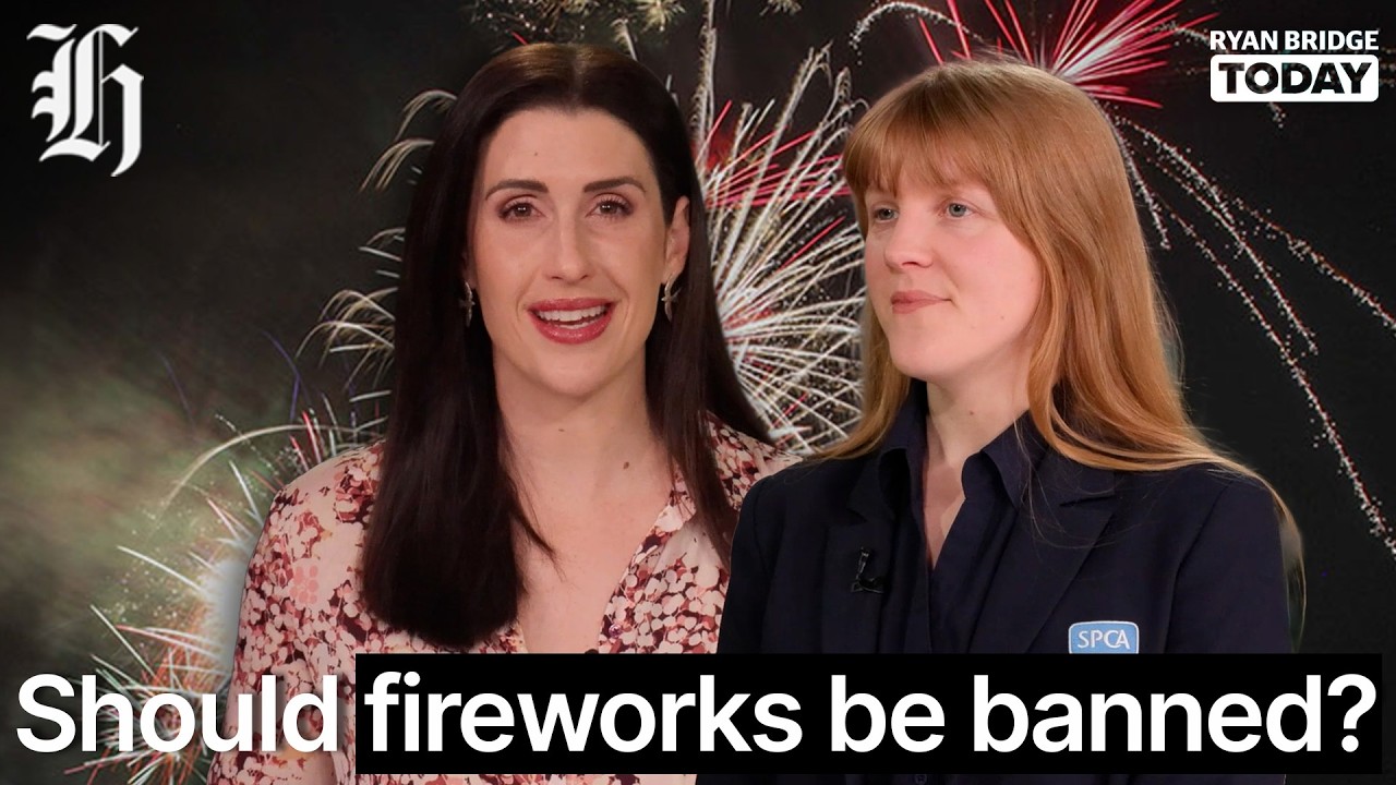 Should fireworks be banned? | Ryan Bridge TODAY