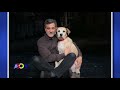 Dog From Annie Visits The Show