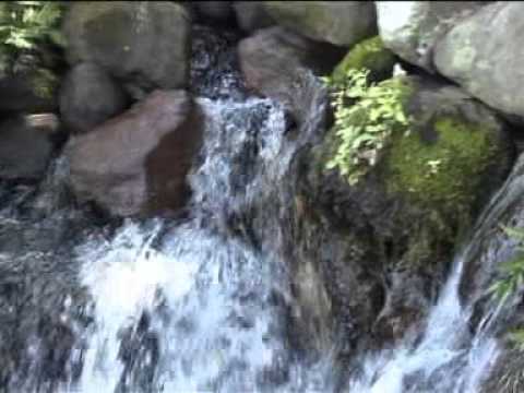 Mas Mbolo - Rindu Malam