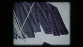 Zoetrope - from the album Solipsism by Joep Beving