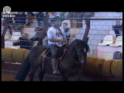 Classificatória Região SC/PR – 8° lugar fêmeas – Ibérica da Vendramin (Prova: Mangueira II)