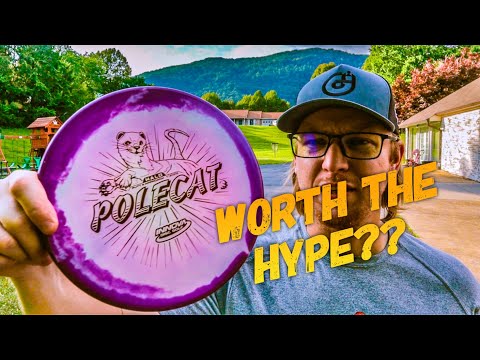 Innova Halo Polecat // Should you Bag it??