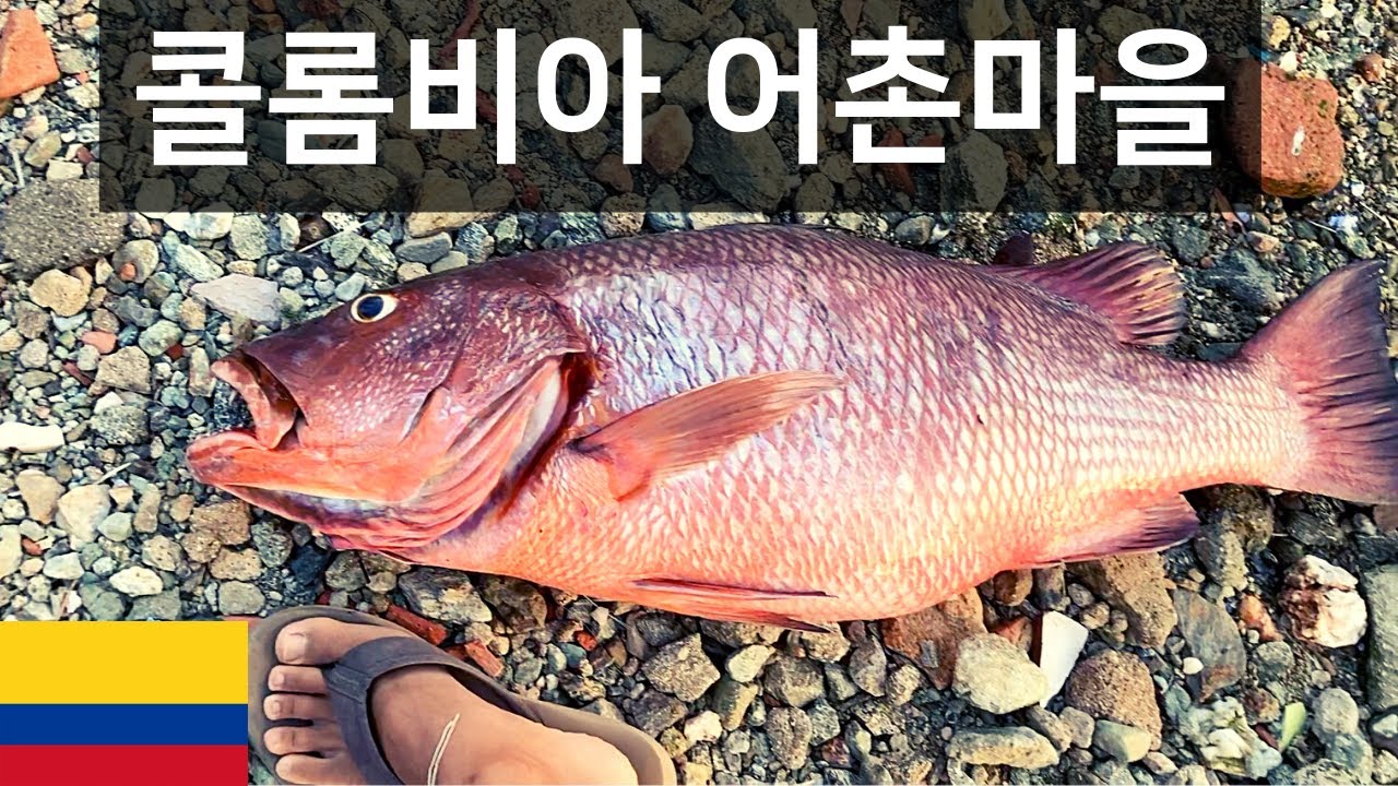 오늘도 평화로운 콜롬비아 어촌마을 - 세계여행 콜롬비아 🇨🇴 [69]
