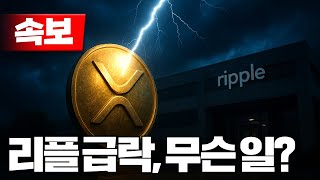 [속보] 리플 이시각 급락, 무슨일
