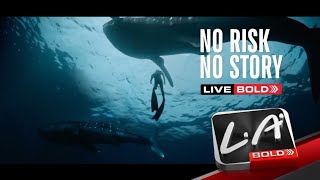 Download lagu L.A. BOLD Whale Shark No Risk No Story (2026) mp3 Download lagu L.A. BOLD Whale Shark No Risk No Story (2026) mp3