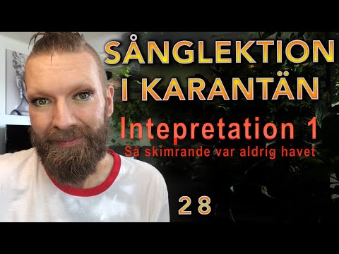 Sång i Karantän - 28 Intepretation 1